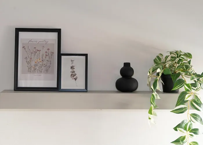 Ixia Home