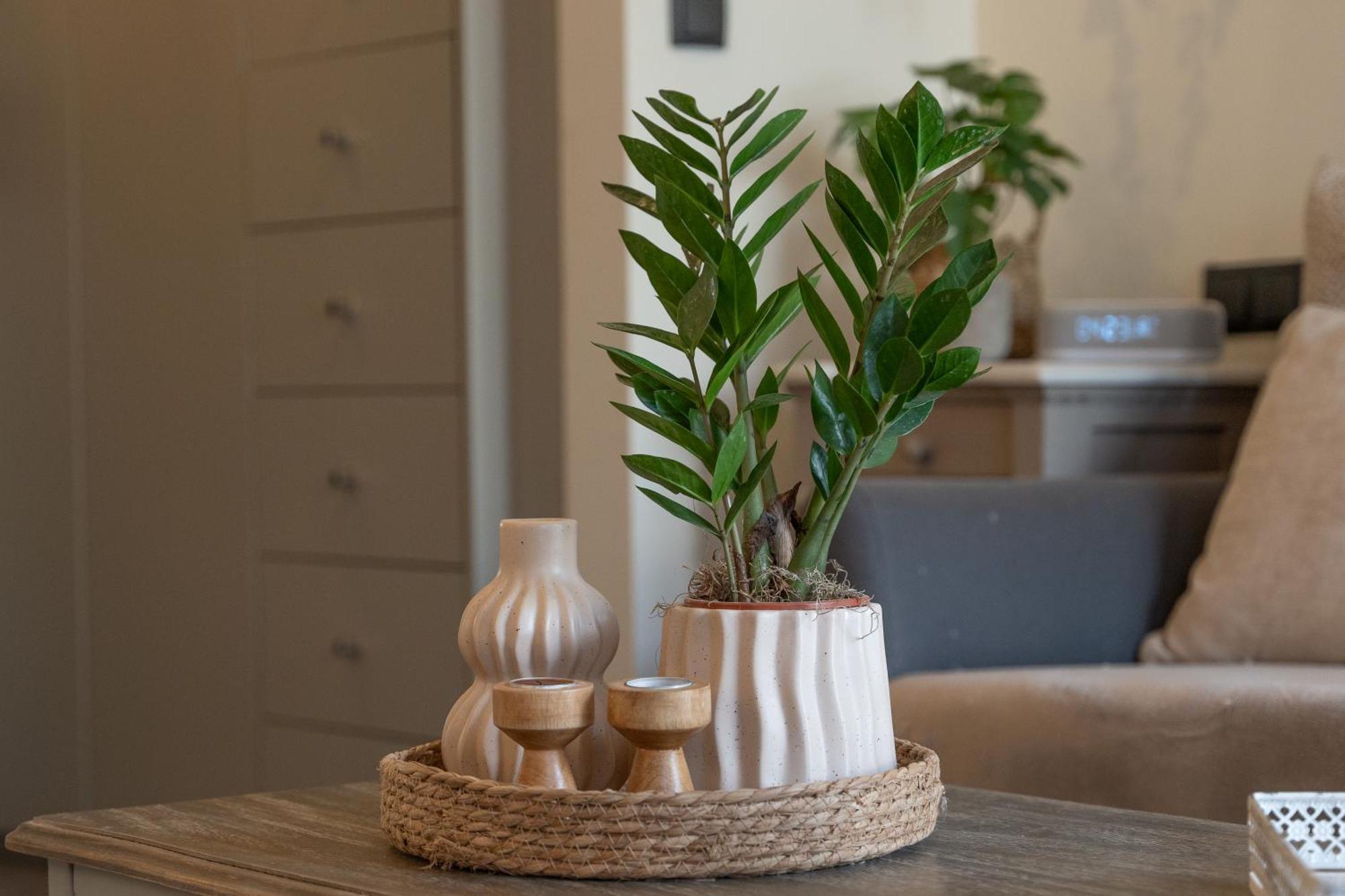 Ixia Home Apartment Ixia (Rhodes)
